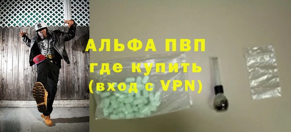индика Ижевск