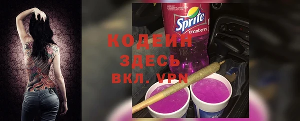 прущие грибы Лабытнанги