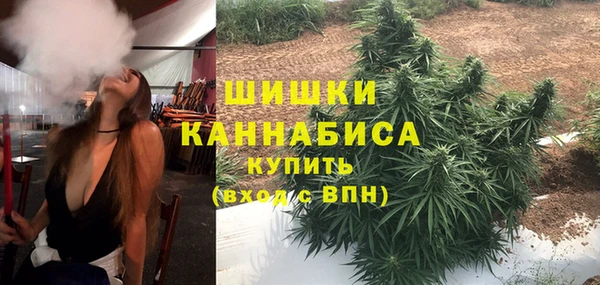 прущие грибы Лабытнанги