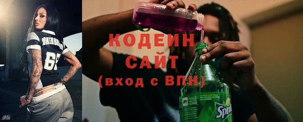 прущие грибы Лабытнанги