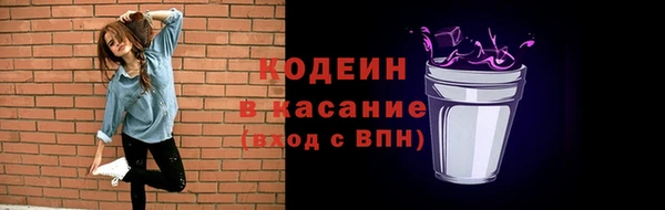 прущие грибы Лабытнанги