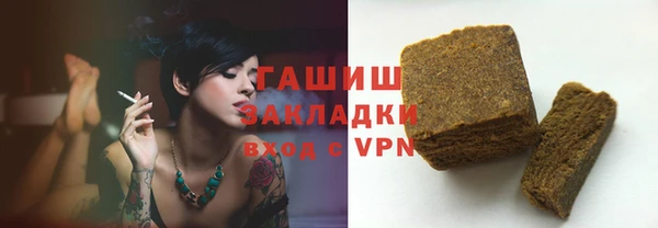 прущие грибы Лабытнанги