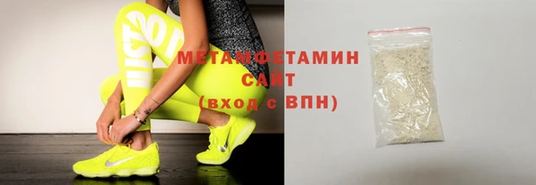 прущие грибы Лабытнанги