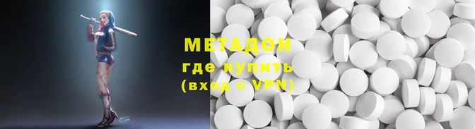 прущие грибы Лабытнанги