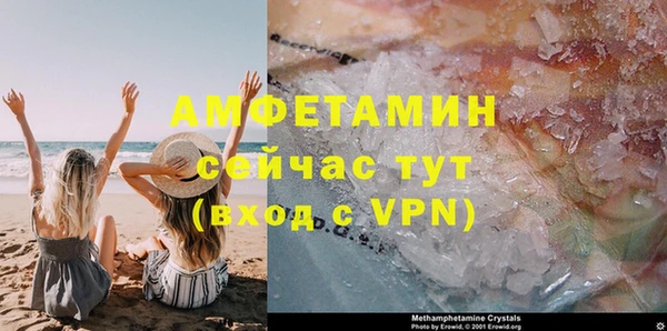 прущие грибы Лабытнанги