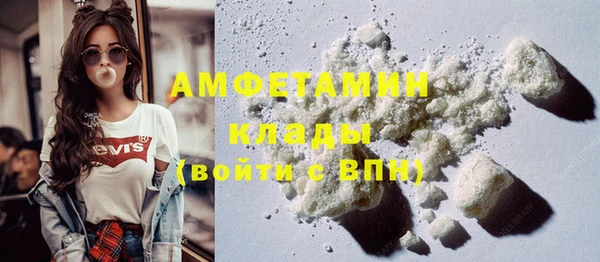 прущие грибы Лабытнанги