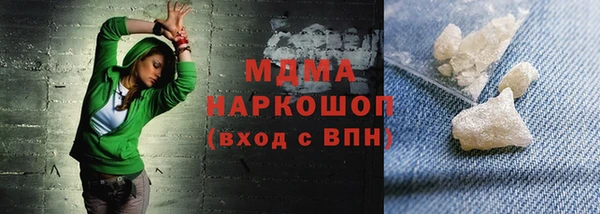 прущие грибы Лабытнанги