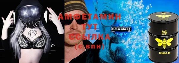 прущие грибы Лабытнанги