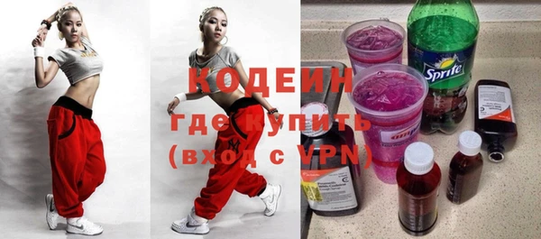 прущие грибы Лабытнанги