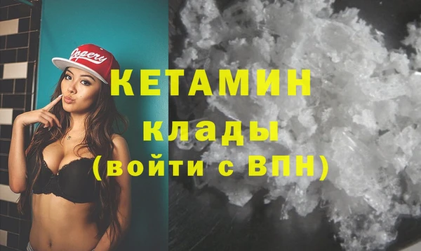 прущие грибы Лабытнанги