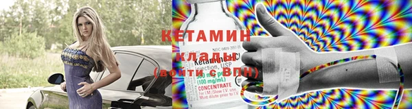 прущие грибы Лабытнанги