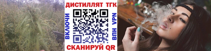 купить наркоту  Эртиль  Дистиллят ТГК концентрат 