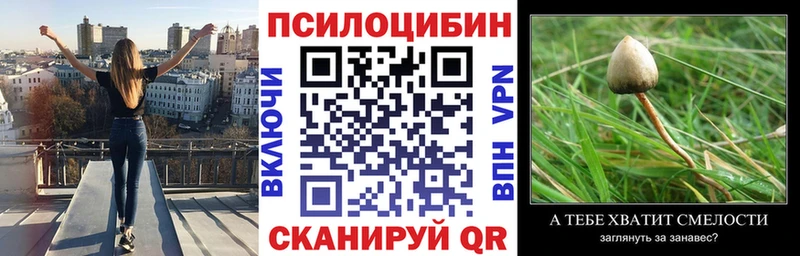 закладка  Эртиль  Галлюциногенные грибы мухоморы 